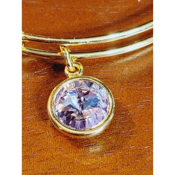 Alex And Ani June Birthstone Bracelet New In Box - Picture 6 of 9